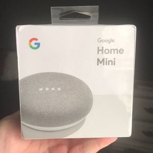 In Box Google Home Mini